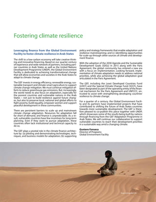 Climate Change Adaptation in the Arab States | PDF