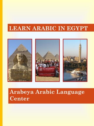 LEARN ARABIC IN EGYPTLEARN ARABIC IN EGYPT
Arabeya Arabic Language
Center
 