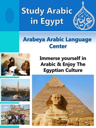 Immerse yourself in
Arabic & Enjoy The
Egyptian Culture
 