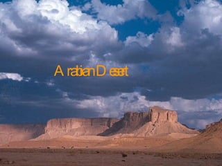 Arabian Desert 