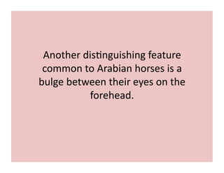 Another 
dis;nguishing 
feature 
common 
to 
Arabian 
horses 
is 
a 
bulge 
between 
their 
eyes 
on 
the 
forehead. 
 