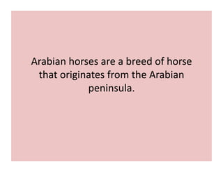 Arabian 
horses 
are 
a 
breed 
of 
horse 
that 
originates 
from 
the 
Arabian 
peninsula. 
 