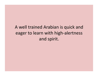 A 
well 
trained 
Arabian 
is 
quick 
and 
eager 
to 
learn 
with 
high-­‐alertness 
and 
spirit. 
 
