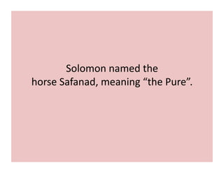 Solomon 
named 
the 
horse 
Safanad, 
meaning 
“the 
Pure”. 
 