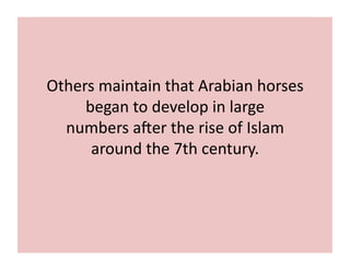 Others 
maintain 
that 
Arabian 
horses 
began 
to 
develop 
in 
large 
numbers 
aGer 
the 
rise 
of 
Islam 
around 
the 
7th 
century. 
 