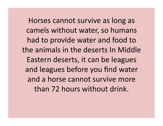 Horses 
cannot 
survive 
as 
long 
as 
camels 
without 
water, 
so 
humans 
had 
to 
provide 
water 
and 
food 
to 
the 
animals 
in 
the 
deserts 
In 
Middle 
Eastern 
deserts, 
it 
can 
be 
leagues 
and 
leagues 
before 
you 
find 
water 
and 
a 
horse 
cannot 
survive 
more 
than 
72 
hours 
without 
drink. 
 