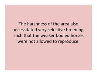 The 
harshness 
of 
the 
area 
also 
necessitated 
very 
selec;ve 
breeding, 
such 
that 
the 
weaker 
bodied 
horses 
were 
not 
allowed 
to 
reproduce. 
 