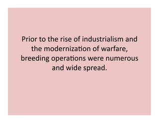 Prior 
to 
the 
rise 
of 
industrialism 
and 
the 
moderniza;on 
of 
warfare, 
breeding 
opera;ons 
were 
numerous 
and 
wide 
spread. 
 