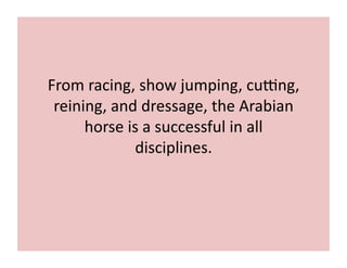 From 
racing, 
show 
jumping, 
cubng, 
reining, 
and 
dressage, 
the 
Arabian 
horse 
is 
a 
successful 
in 
all 
disciplines. 
 