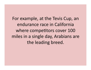 For 
example, 
at 
the 
Tevis 
Cup, 
an 
endurance 
race 
in 
California 
where 
compe;tors 
cover 
100 
miles 
in 
a 
single 
day, 
Arabians 
are 
the 
leading 
breed. 
 