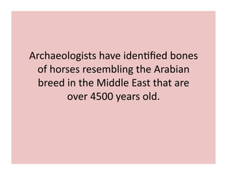 Archaeologists 
have 
iden;fied 
bones 
of 
horses 
resembling 
the 
Arabian 
breed 
in 
the 
Middle 
East 
that 
are 
over 
4500 
years 
old. 
 