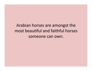 Arabian 
horses 
are 
amongst 
the 
most 
beau;ful 
and 
faithful 
horses 
someone 
can 
own. 
 