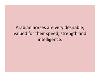 Arabian 
horses 
are 
very 
desirable; 
valued 
for 
their 
speed, 
strength 
and 
intelligence. 
 