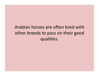 Arabian 
horses 
are 
oGen 
bred 
with 
other 
breeds 
to 
pass 
on 
their 
good 
quali;es. 
 