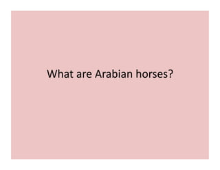 What 
are 
Arabian 
horses? 
 