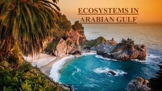 ECOSYSTEMS IN
ARABIAN GULF
 