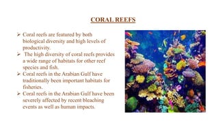  Coral reefs are featured by both
biological diversity and high levels of
productivity.
 The high diversity of coral reefs provides
a wide range of habitats for other reef
species and fish.
 Coral reefs in the Arabian Gulf have
traditionally been important habitats for
fisheries.
 Coral reefs in the Arabian Gulf have been
severely affected by recent bleaching
events as well as human impacts.
CORAL REEFS
 
