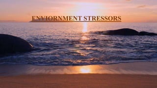 ENVIORNMENT STRESSORS
 