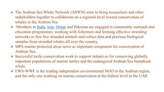 The Arabian Sea Whale Network (ASWN) aims to bring researchers and other
stakeholders together to collaborate on a regional level toward conservation of
whales in the Arabian Sea.
 Members in India, Iran, Oman and Pakistan are engaged in community outreach and
education programmes, working with fishermen and forming effective stranding
networks to free live stranded animals and collect data and precious biological
samples from stranded whales all over the country.
 MPA marine protected areas serve as important component for conservation of
Arabian Sea.
 Successful turtle conservation work to support initiatives for conserving globally
important populations of marine turtles and the endangered Arabian Sea humpback
whale.
 EWS-WWF is the leading independent environmental NGO in the Arabian region,
and the only one working on marine conservation at the federal level in the UAE
 