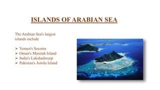 The Arabian Sea's largest
islands include
 Yemen's Socotra
 Oman's Masirah Island
 India's Lakshadweep
 Pakistan's Astola Island
ISLANDS OF ARABIAN SEA
 