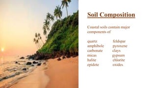 Coastal soils contain major
components of
quartz feldspar
amphibole pyroxene
carbonate clays
micas gypsum
halite chlorite
epidote oxides.
Soil Composition
 
