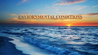 ENVIORNMENTAL CONDITIONS
 