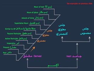 8- Demonstrative pronouns ‫اإلشارة‬ ‫أسماء‬
* When pointing or
referring to non-human
plural masculine or
feminine such as objects
& animals, the
demonstrative pronoun
to be used is the singular
feminine ‫هذه‬ & ‫تلك‬ NOT
the plural ‫هؤالء‬ & ‫أولئك‬
Example:
These are books:
‫كـتـب‬ ‫هـذه‬
.
.
 