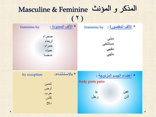 3- A verbal sentence ‫ية‬ِ‫ل‬‫ع‬ِ‫ف‬ ‫لة‬‫ُم‬‫ج‬ :
My father works in a company ‫والدي‬ُ‫ل‬َ‫م‬ْ‫ع‬َ‫ي‬‫في‬‫ة‬َ‫ك‬ ِ‫َر‬‫ش‬
Fatima studies medicine ‫فاطمة‬َّ‫ب‬ِّ‫الط‬ ُ‫تدرس‬
4- A prepositional phrase ‫ـلـة‬‫ُـم‬‫ج‬ ‫ـه‬‫ـب‬ِ‫ش‬ :
The chidren are in the school ُ‫د‬‫ال‬ ْ‫و‬ ْ‫اْل‬ِ‫ة‬‫المدرس‬ ‫في‬
The car is in the front of the door ُ‫ة‬‫يار‬َّ‫س‬‫ال‬ِ‫ب‬‫البا‬ َ‫أمام‬
5- A nominal sentence ‫ية‬ِ‫م‬‫إس‬ ‫لة‬‫ُم‬‫ج‬ :
The house, its door is beautiful ُ‫بيت‬ْ‫ال‬ٌ‫ل‬‫مي‬َ‫ج‬ ُ‫ه‬‫ــ‬ُ‫ب‬‫با‬
My sister, her husband is a teacher ‫تي‬ْ‫أخ‬ٌ‫ذ‬‫تا‬ْ‫س‬‫أ‬ ‫ها‬ُ‫ج‬ ْ‫و‬ َ‫ز‬
 