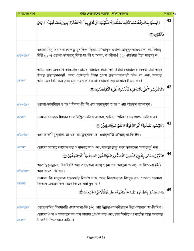 Bengali language visual data 7