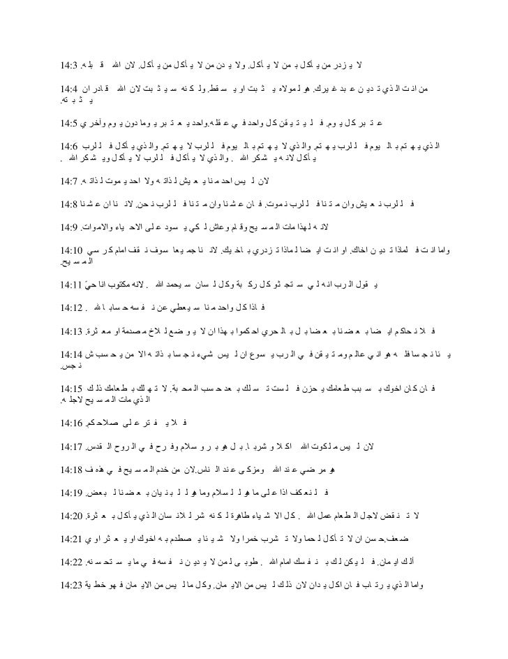 arabic bible romans