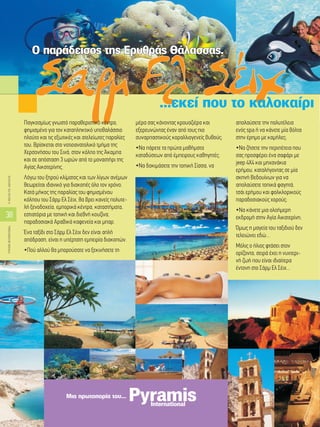 Arabic brochure | PDF