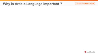Why is Arabic Language Important ? 
 