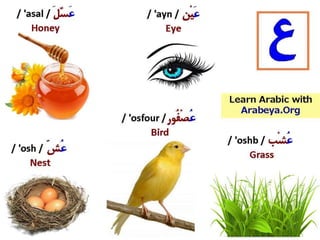 Arabic letters