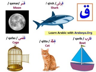 Arabic letters