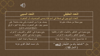 Arabic project.pptx