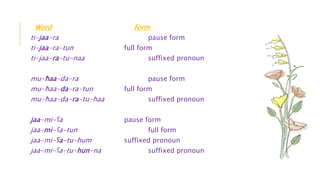 Word form
ti-jaa-ra pause form
ti-jaa-ra-tun full form
ti-jaa-ra-tu-naa suffixed pronoun
mu-ħaa-da-ra pause form
mu-ħaa-da-ra-tun full form
mu-ħaa-da-ra-tu-haa suffixed pronoun
jaa-mi-ʕa pause form
jaa-mi-ʕa-tun full form
jaa-mi-ʕa-tu-hum suffixed pronoun
jaa-mi-ʕa-tu-hun-na suffixed pronoun
 