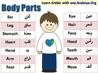 Arabic Words
