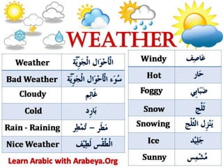 Arabic Words