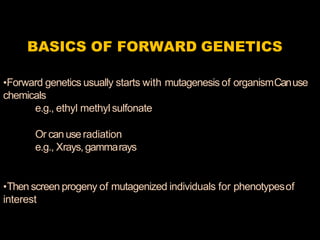 Arabidopsis in molecular biology | PPTX