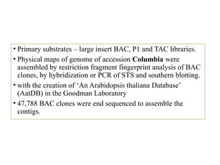 Comprehensive Insights into Arabidopsis thaliana as a Model Plant in ...