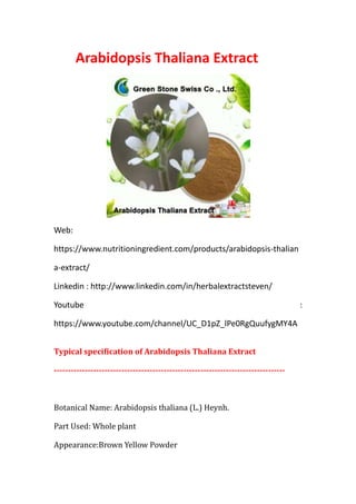 Arabidopsis Thaliana Extract
Web:
https://www.nutritioningredient.com/products/arabidopsis-thalian
a-extract/
Linkedin : http://www.linkedin.com/in/herbalextractsteven/
Youtube :
https://www.youtube.com/channel/UC_D1pZ_lPe0RgQuufygMY4A
Typical specification of Arabidopsis Thaliana Extract
----------------------------------------------------------------------------------
Botanical Name: Arabidopsis thaliana (L.) Heynh.
Part Used: Whole plant
Appearance:Brown Yellow Powder
 