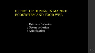 15
EFFECT OF HUMAN IN MARINE
ECOSYSTEM AND FOOD WEB
o Extreme fisheries
o Ocean pollution
o Acidification
 