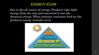 ENERGY FLOW
Sun is the all source of energy. Producer take light
energy from the sun and converted it into the
chemical energy. When primary consumer feed on the
producer energy transfer occur.
4
 
