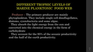 DIFFERENT TROPHIC LEVELS OF
MARINE PLANKTONIC FOOD WEB
Producer – The primary producer are mainly
phytoplankton. They include single cell dinoflagellates,
diatoms, cyanobacteria and some algae.
They absorb the light energy from the sun and
converted into the chemical energy in the form of
carbohydrate
They account for the 95% of the oceanic productivity
and the half of the earth productivity.
7
 
