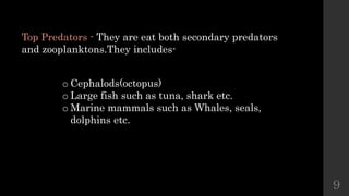 Top Predators - They are eat both secondary predators
and zooplanktons.They includes-
o Cephalods(octopus)
o Large fish such as tuna, shark etc.
o Marine mammals such as Whales, seals,
dolphins etc.
9
 