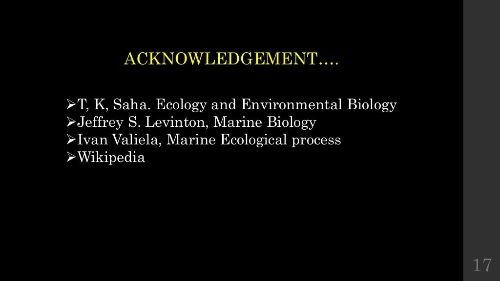 Marine Food Web marine-food-web