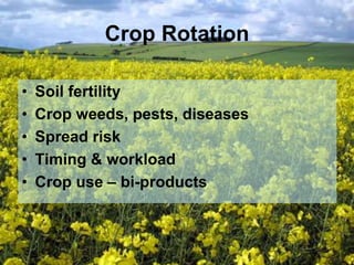 Arable farming | PPT