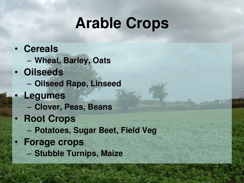 Arable farming