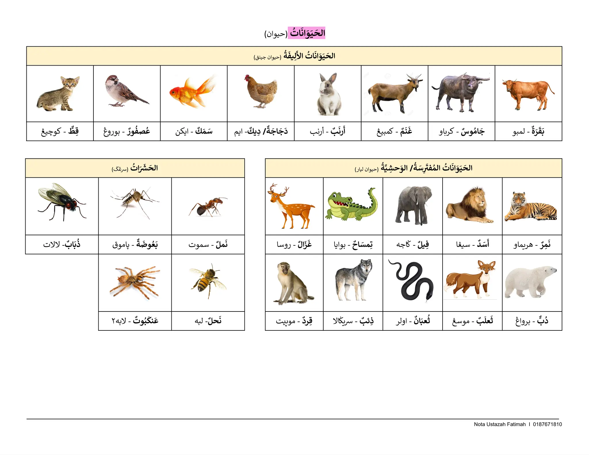 ARAB (NOTA UPKK).pdf untuk murid exam UPKK | PDF