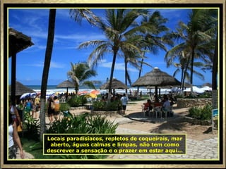 Locais paradisíacos, repletos de coqueirais, mar aberto, águas calmas e limpas, não tem como descrever a sensação e o prazer em estar aqui... 